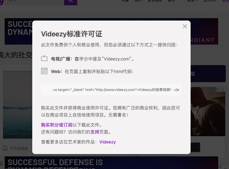 videezy-license.jpg