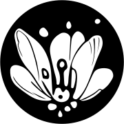 Pollinations AI