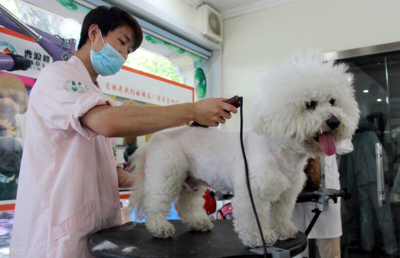 开宠物用品店利润大吗（利用“宠物免费洗澡”，1年赚114万）