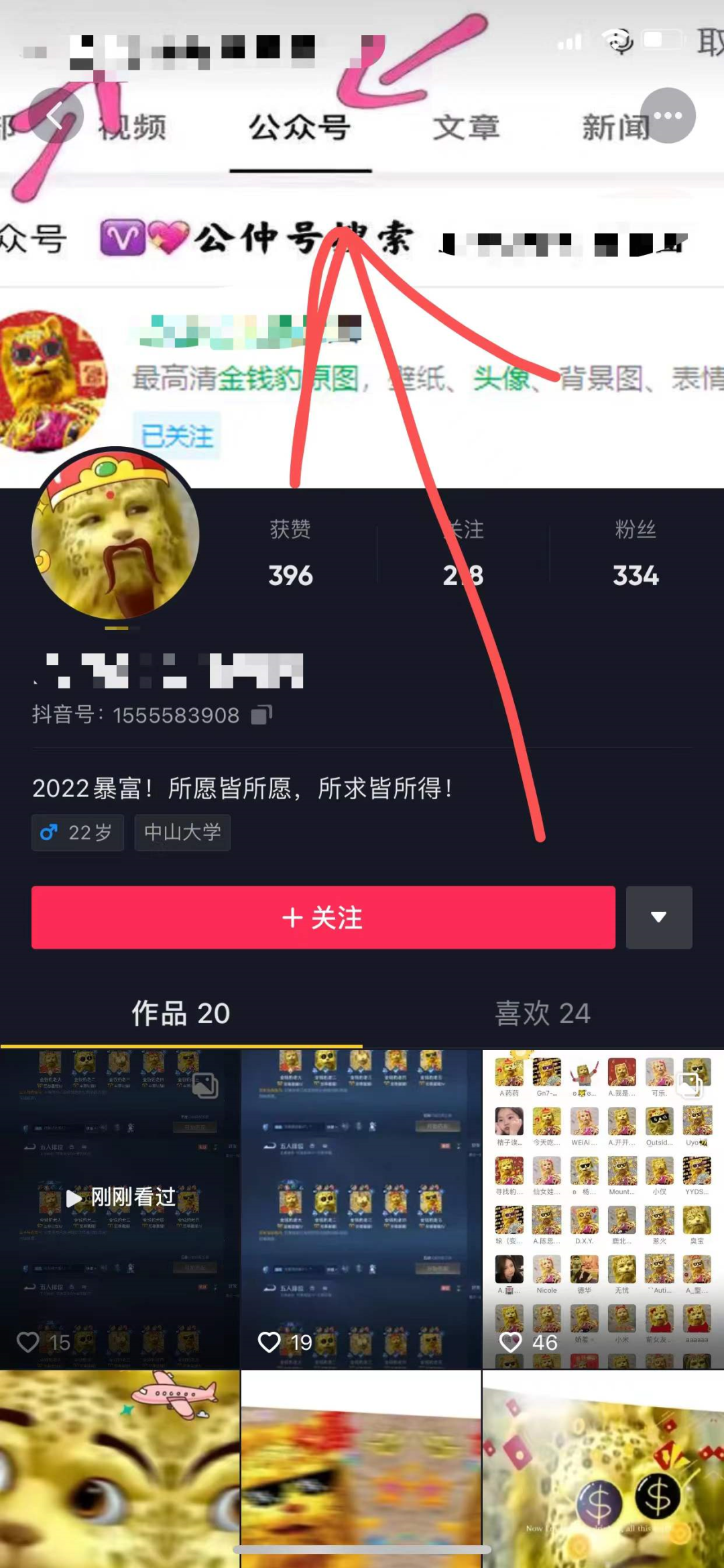 图片[11]-金钱豹是什么梗？有人靠它赚了好几万！-玩锤子创业网