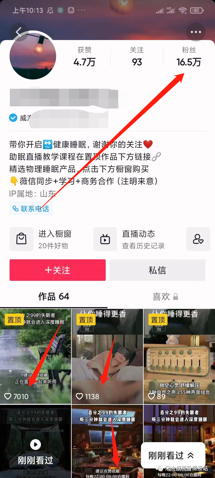 图片[3]-宋大叔：批量化操作，0成本项目，月入10000 【详细教程】-玩锤子创业网