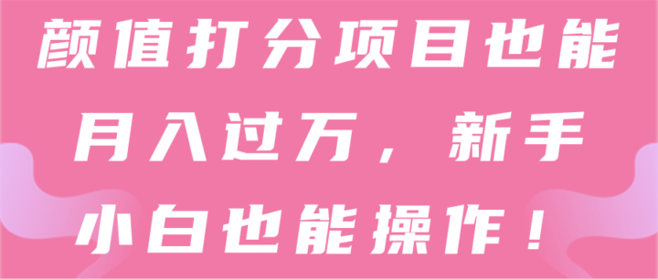 颜值打分项目也能月入过万，新手小白也能操作！【视频教程】