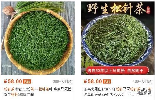 图片[3]-农村冷门小商机，38岁小伙花800元办松针茶厂，年纯赚45万。-玩锤子创业网