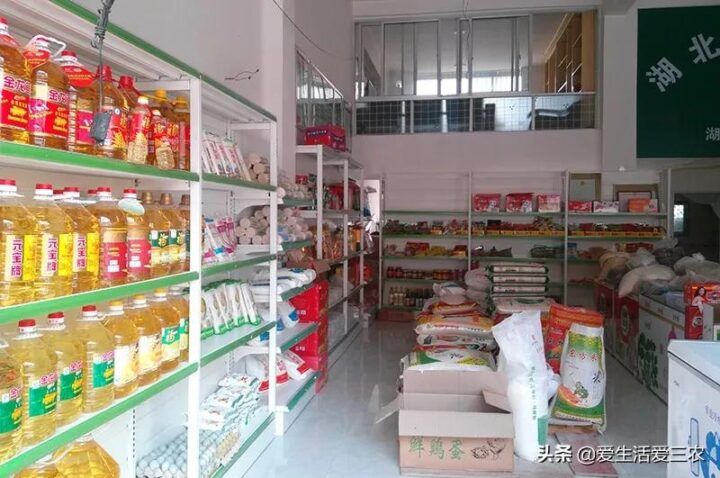 乡镇创业做什么最适合（适合乡镇开的实体店）