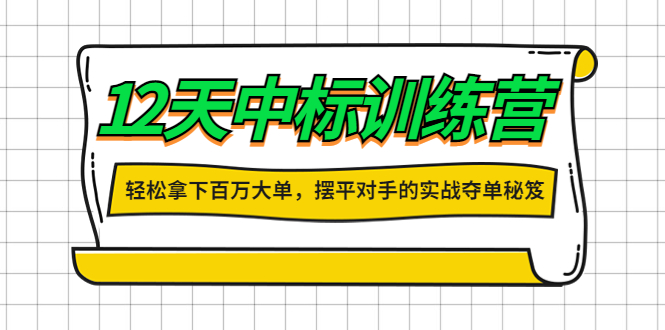 12天中标训练营：轻松拿下百万大单，摆平对手的实战夺单秘笈！