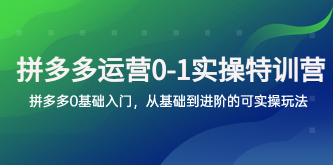 拼多多运营01实操训练营，拼多多0基础入门，从基础到进阶的可实操玩法