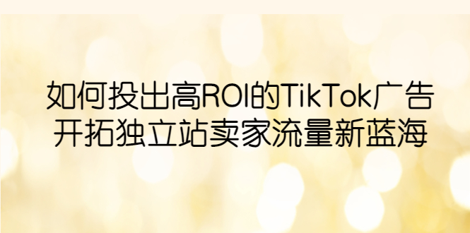 TikTok广告投放实战指南：开拓独立站卖家流量新蓝海，提升ROI