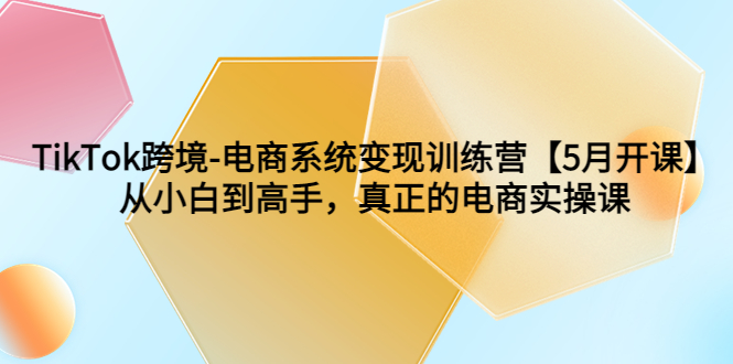 TikTok电商跨境变现实操课程，从小白到高手一步搭建自己的电商帝国