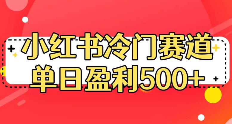 小红书冷门赛道，教你单日盈利500的秘密方法！