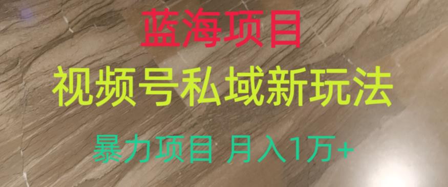 蓝海项目，视频号私域新玩法，暴力项目月入1万+