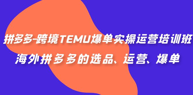 拼多多跨境TEMU爆单实操运营培训班，海外拼多多的选品、运营、爆单