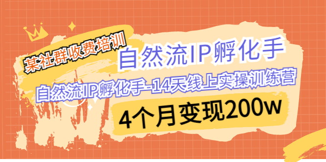 某社群收费培训：自然流IP孵化手14天线上实操训练营4个月变现200w