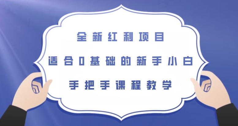 全新红利项目，零基础新手也能轻松上手【揭秘】