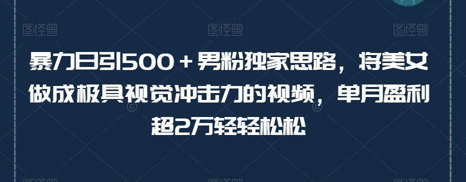 男粉独家思路：极具视觉冲击力的美女视频变现，单月盈利超2万轻松达成【揭秘】