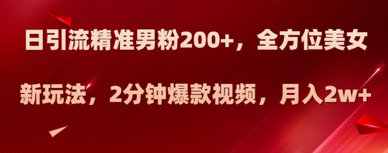 新玩法日引流精准男粉200，全方位美女新玩法，2分钟爆款视频，月入2W【揭秘】