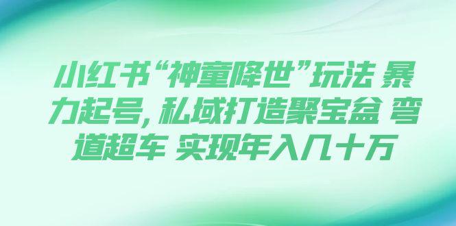 小红书“神童降世”玩法暴力起号,私域打造聚宝盆弯道超车实现年入几十万