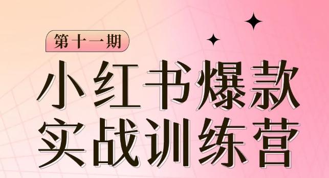 从零到一，掌握小红书爆款秘籍，，从定位到起号到变现让你轻松变身博主达人