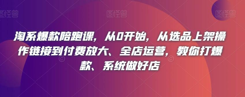 从选品到全店运营，淘系爆款陪跑课教你系统打造爆款店铺