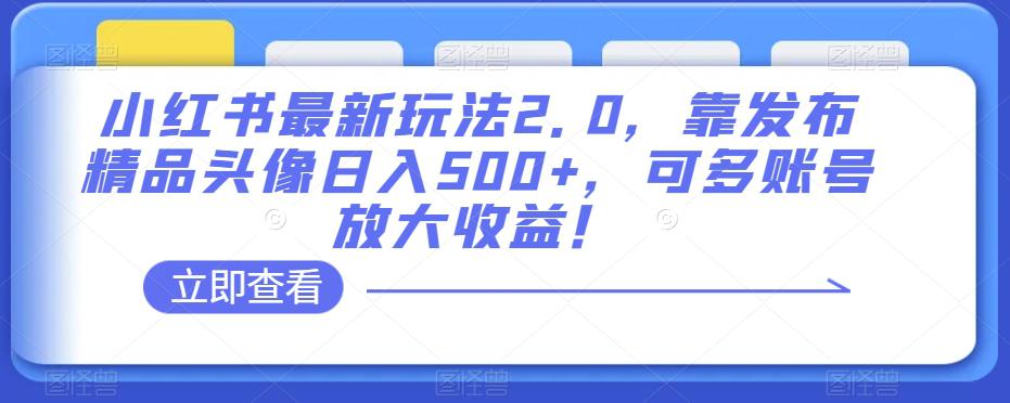 小红书最新玩法2.0：发布精品头像日入500+，多账号放大收益！