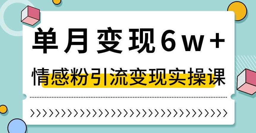 抖音情感粉引流变现实操课，快速上手，小白也能轻松月入6W！