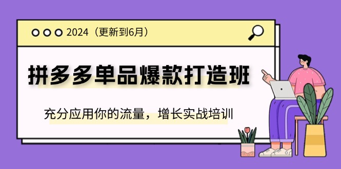 2024拼多多单品爆款打造班(更新6月)，充分应用你的流量，增长实战培训