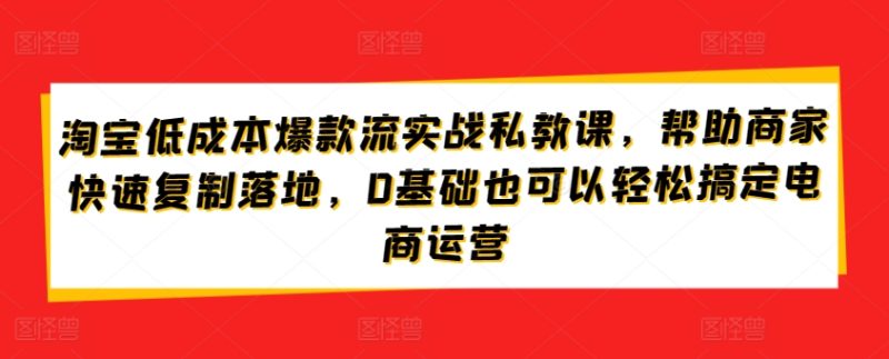 淘宝低成本爆款流实战攻略，低成本爆款打造与流量获取，0基础也可以轻松搞定电商运营