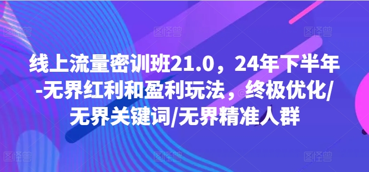 线上流量密训班21.0，24年下半年无界红利和盈利玩法，终极优化/无界关键词/无界精准人群-2023赚钱项目-创业项目 - 玩锤子创业网