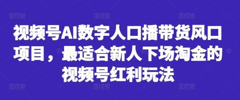 视频号AI数字人口播带货风口项目，最适合新人下场淘金的视频号红利玩法-2023赚钱项目-创业项目 - 玩锤子创业网