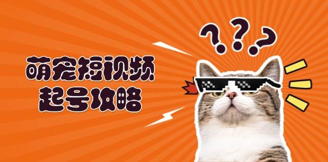 萌宠短视频起号攻略：定位搭建推流全解析，助力新手轻松打造爆款