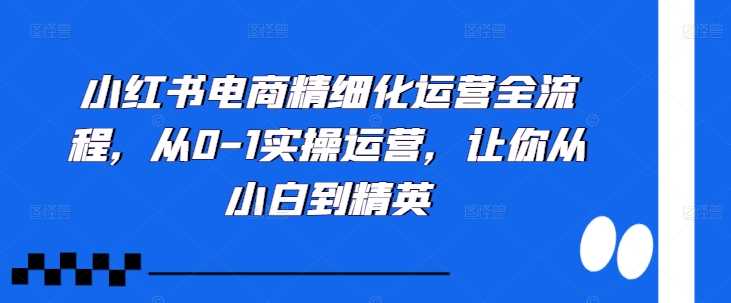 小红书电商精细化运营全流程，从01实操运营，让你从小白到精英