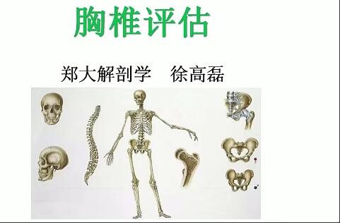郑大·徐高磊：人体姿势评估与解剖学分析（进阶）