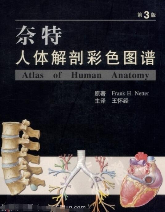 奈特人体解剖彩色图谱（第三版）PDF网盘