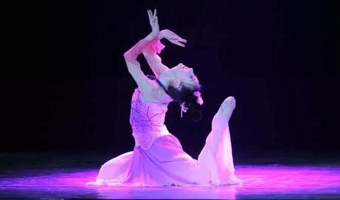 中舞网舞蹈基础教学视频：古典舞+成品舞蹈教学+群舞+独舞(47套)