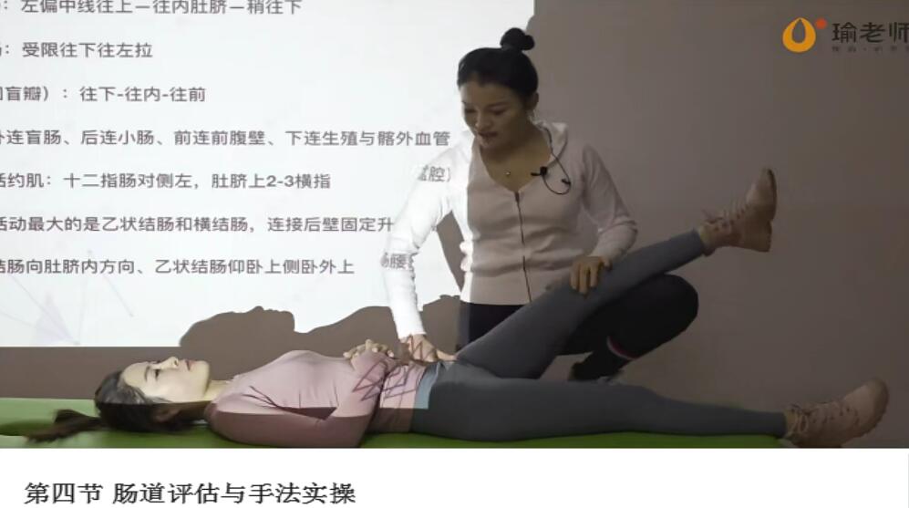 瑜老师·张美玲：内脏筋膜实操手法精讲系统课程