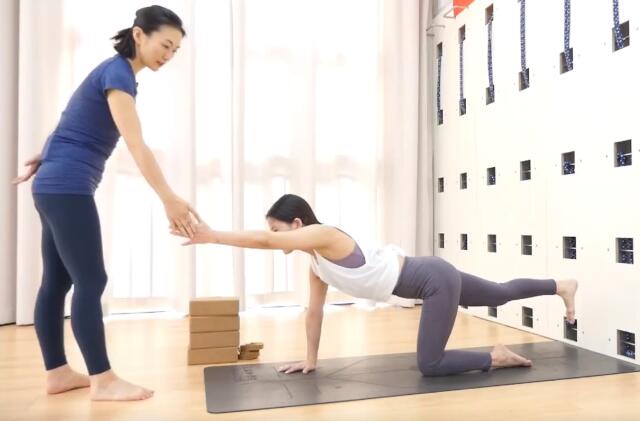 郭晓丽老师瑜伽·膝关节理疗训练营