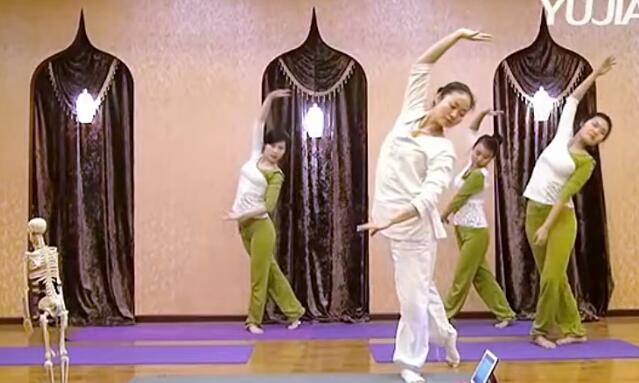 舞韵瑜伽教学视频（10节）