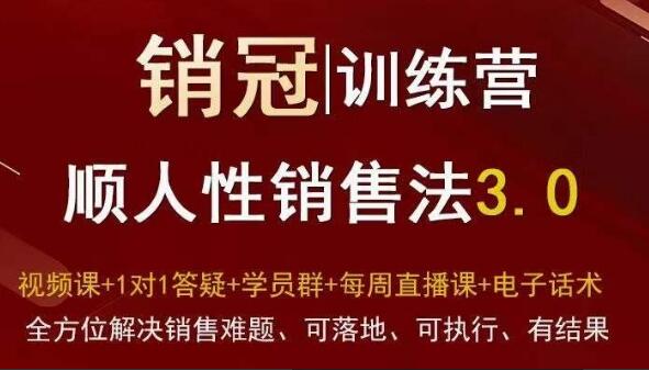 销冠训练营销售思维3.0，顺人性销售法，全方位解决销售难题