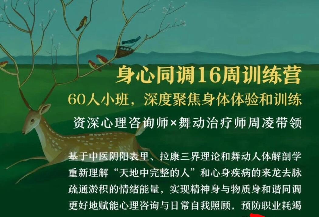 周凌·身心同调16周训练营，整合中医、舞动与拉康，赋能心理咨询与自我照顾