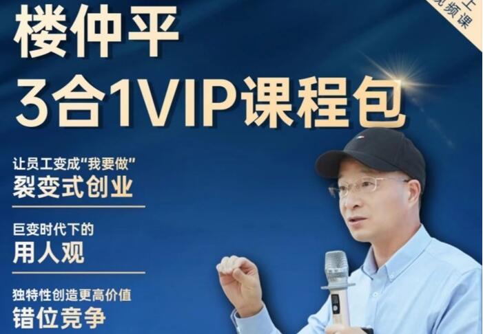 楼仲平三合一VIP课程（用人观+错位竞争+自主制创）