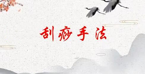 刘霞新版人体十二部刮痧视频课程13集—早教启蒙