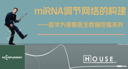 数据挖掘—miRNA调节网络的构建